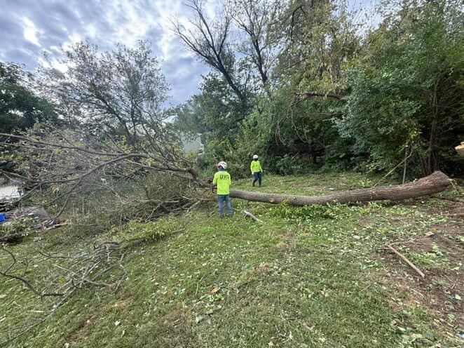 Two workers in green vests and helmets cut down a fallen tree on a grassy area under a cloudy sky.