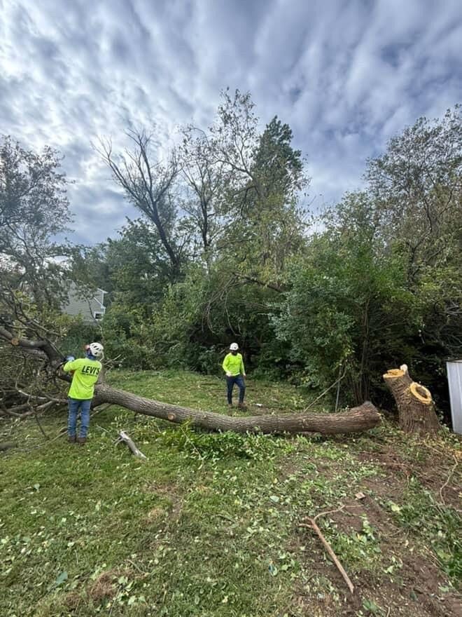 Two workers in safety vests and helmets clearing a fallen tree in a yard under a cloudy sky.