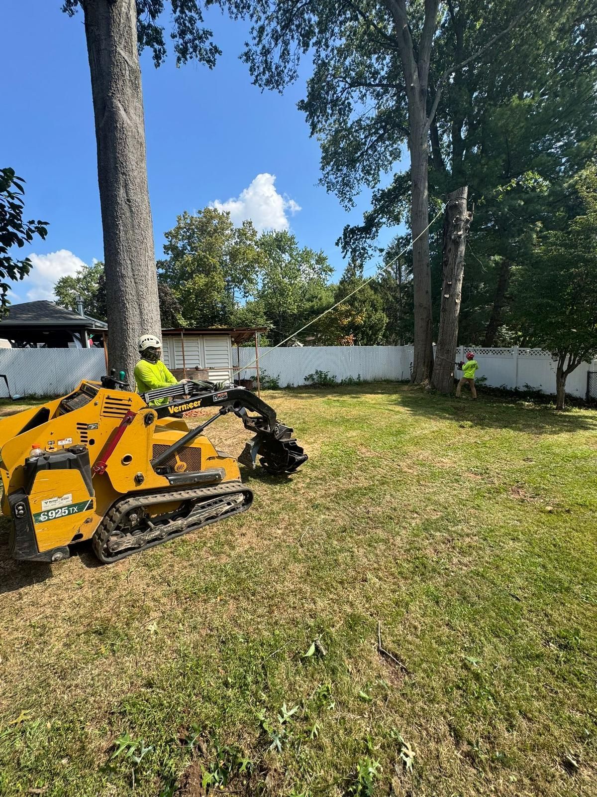 A yellow stump grinder and tree workers removing a tree in a grassy backyard with a white fence.