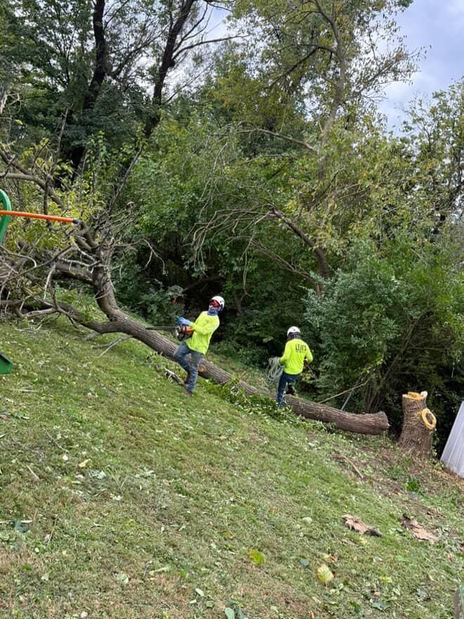 Two tree service workers in neon vests cutting a fallen tree on a grassy hillside.