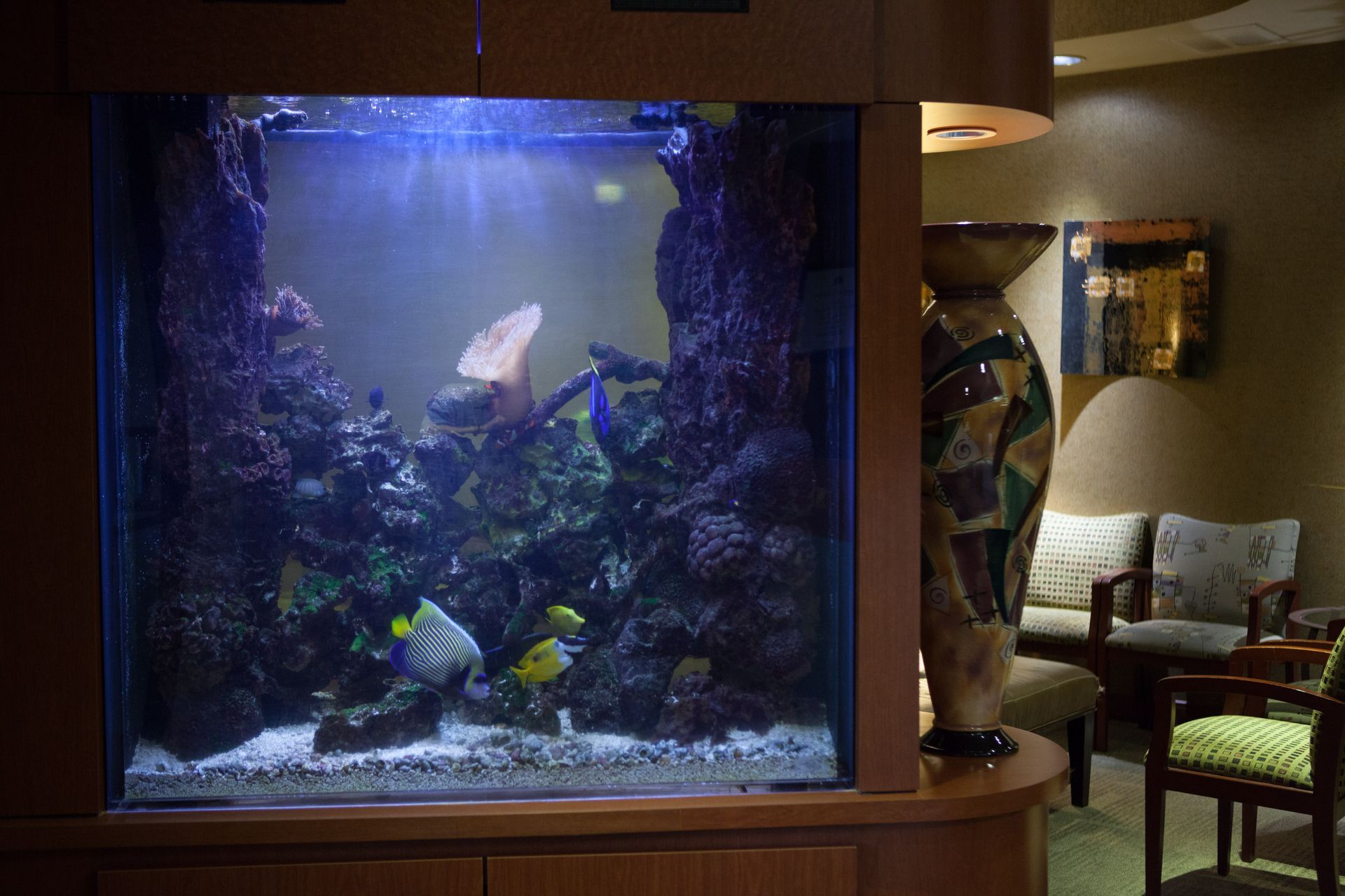 A large fish tank is sitting in a waiting room.