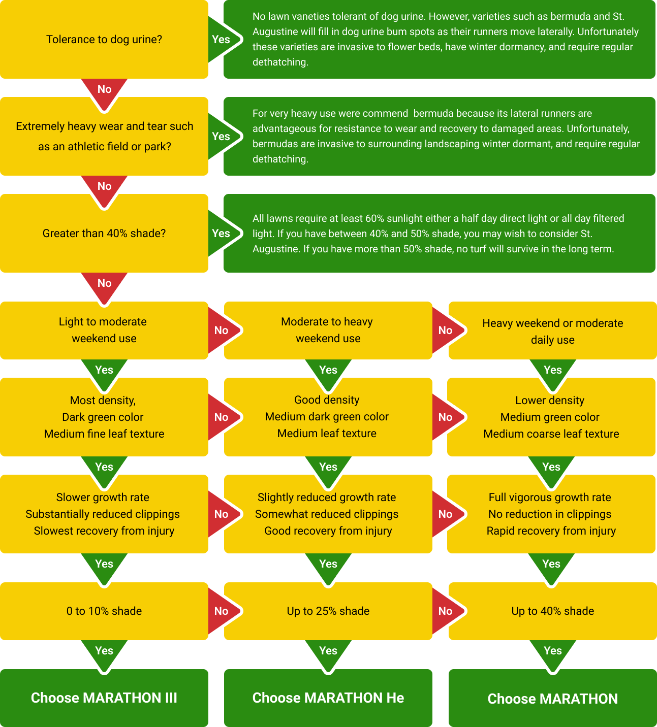 A flow chart showing the steps to choose a marathon