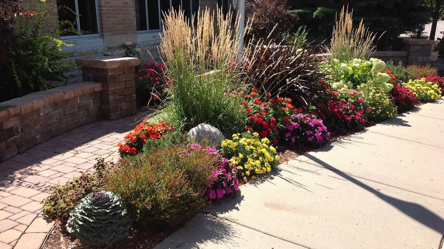 Colorful flower bed and ornamental grasses lining a sunlit sidewalk beside a stone wall