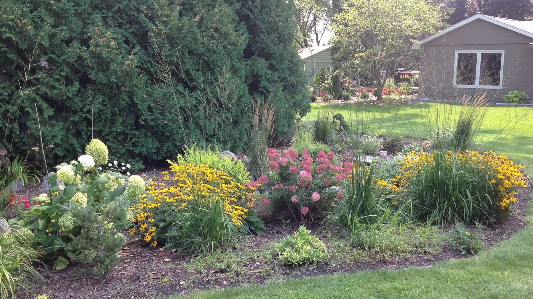 Colorful flower garden border beside a lawn, with a small shed in the background.