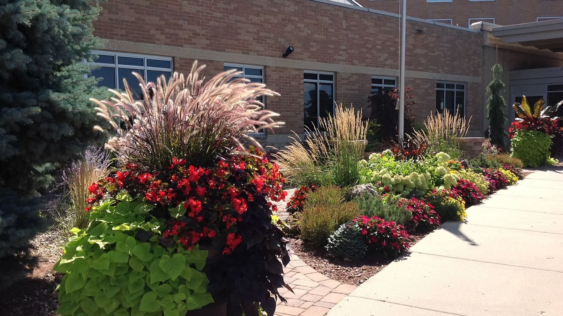 Colorful flower beds with red and pink blooms line a sidewalk beside a brick building.