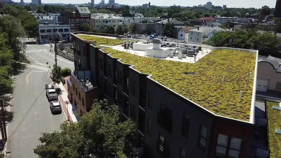 Aerial view of a building with a green roof, city backdrop.
