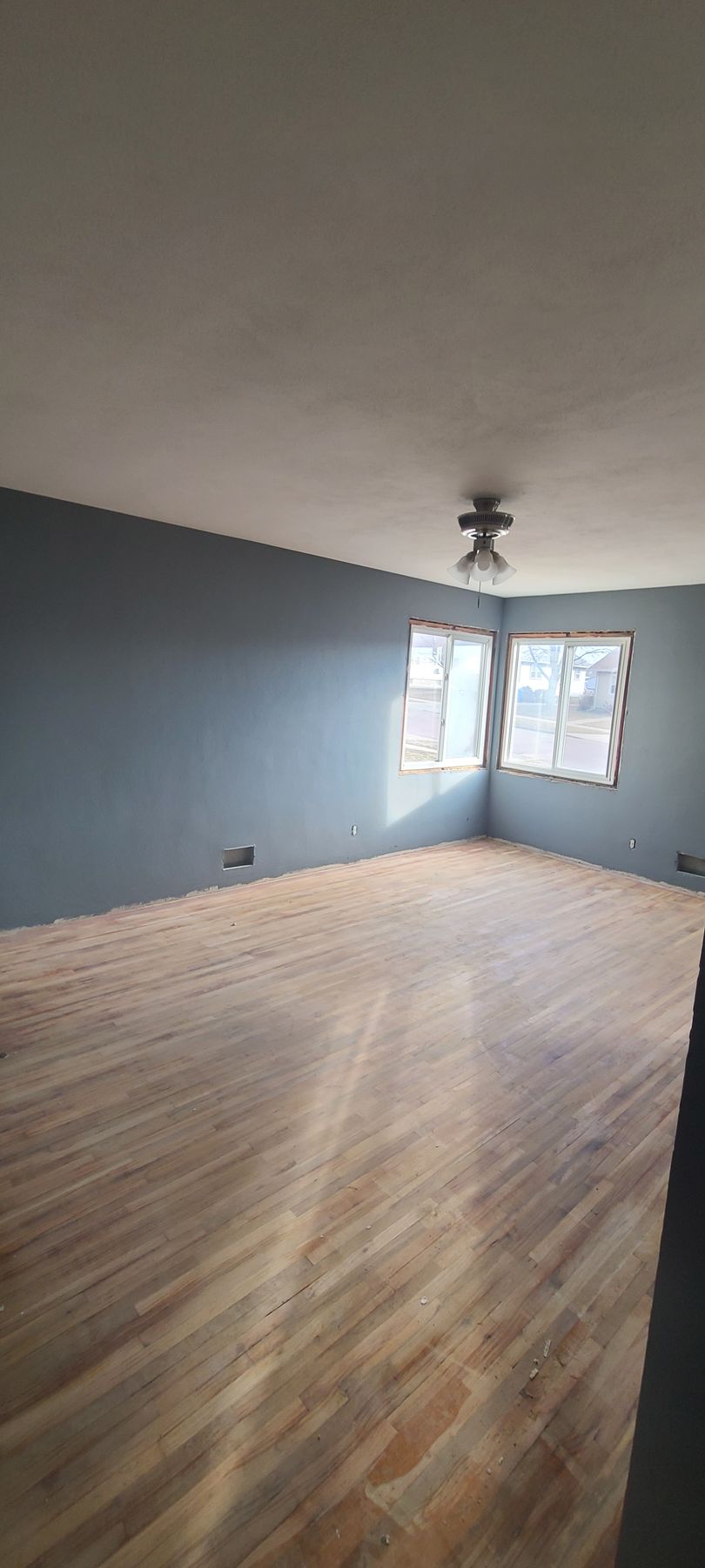 A room with wooden floor, blue walls, a ceiling fan, and two windows.