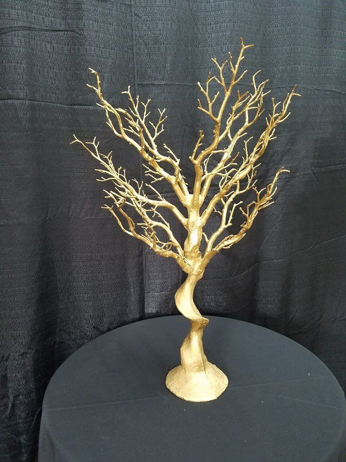 Gold or Silver Manzanita Tree