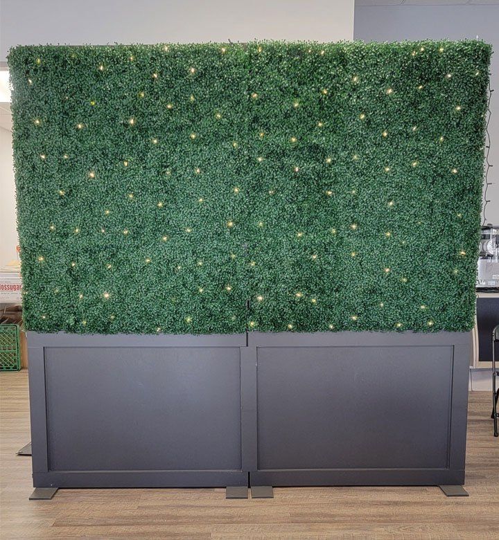 Boxwood Wall with Lights