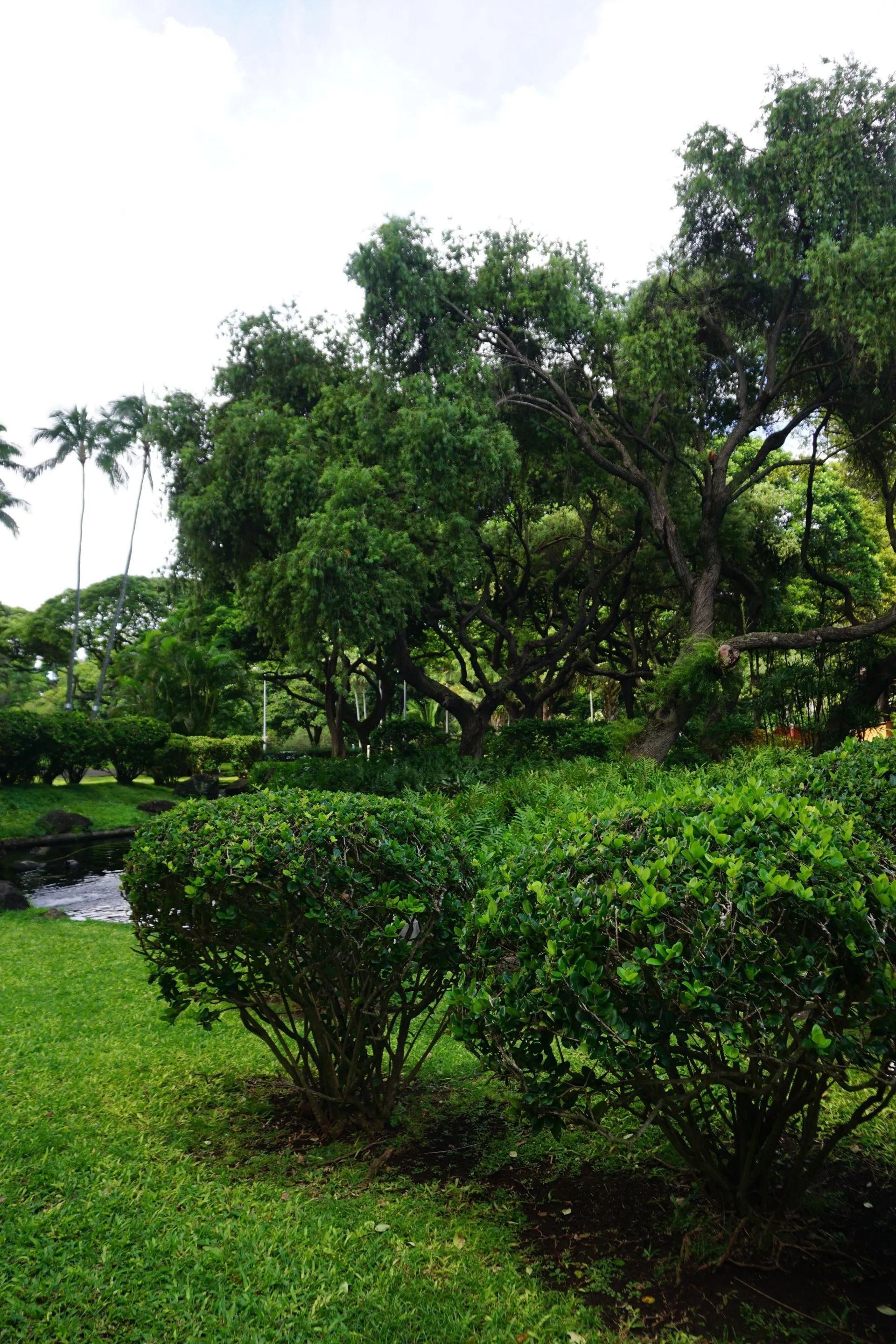 Lush green garden with manicured shrubs, tall trees, and grassy lawn under a cloudy sky.