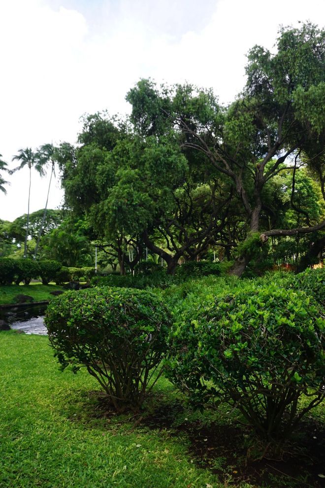 Lush green garden with manicured shrubs, tall trees, and grassy lawn under a cloudy sky.