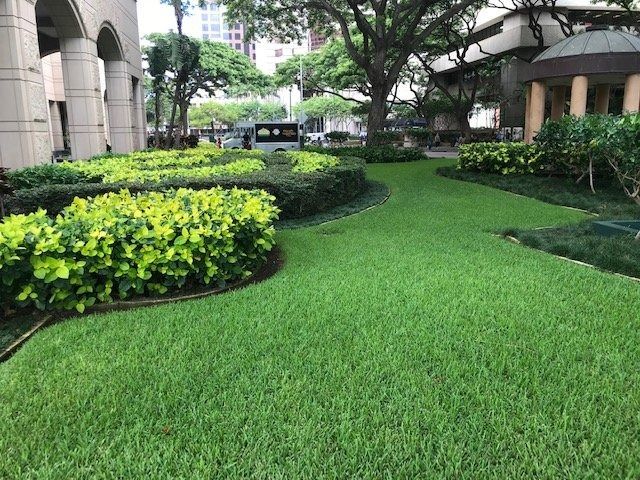 Green grass and bushes in a well-manicured city park, near buildings with archways and a gazebo.