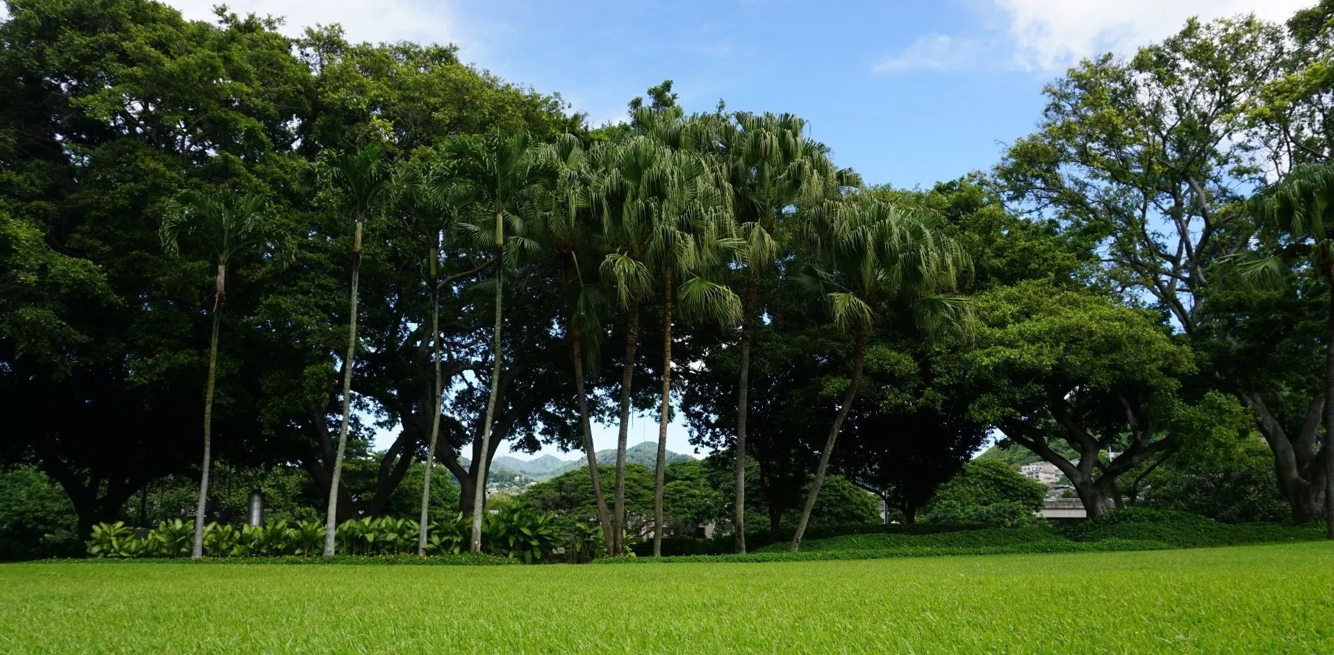 Green lawn with lush trees under a partly cloudy sky.