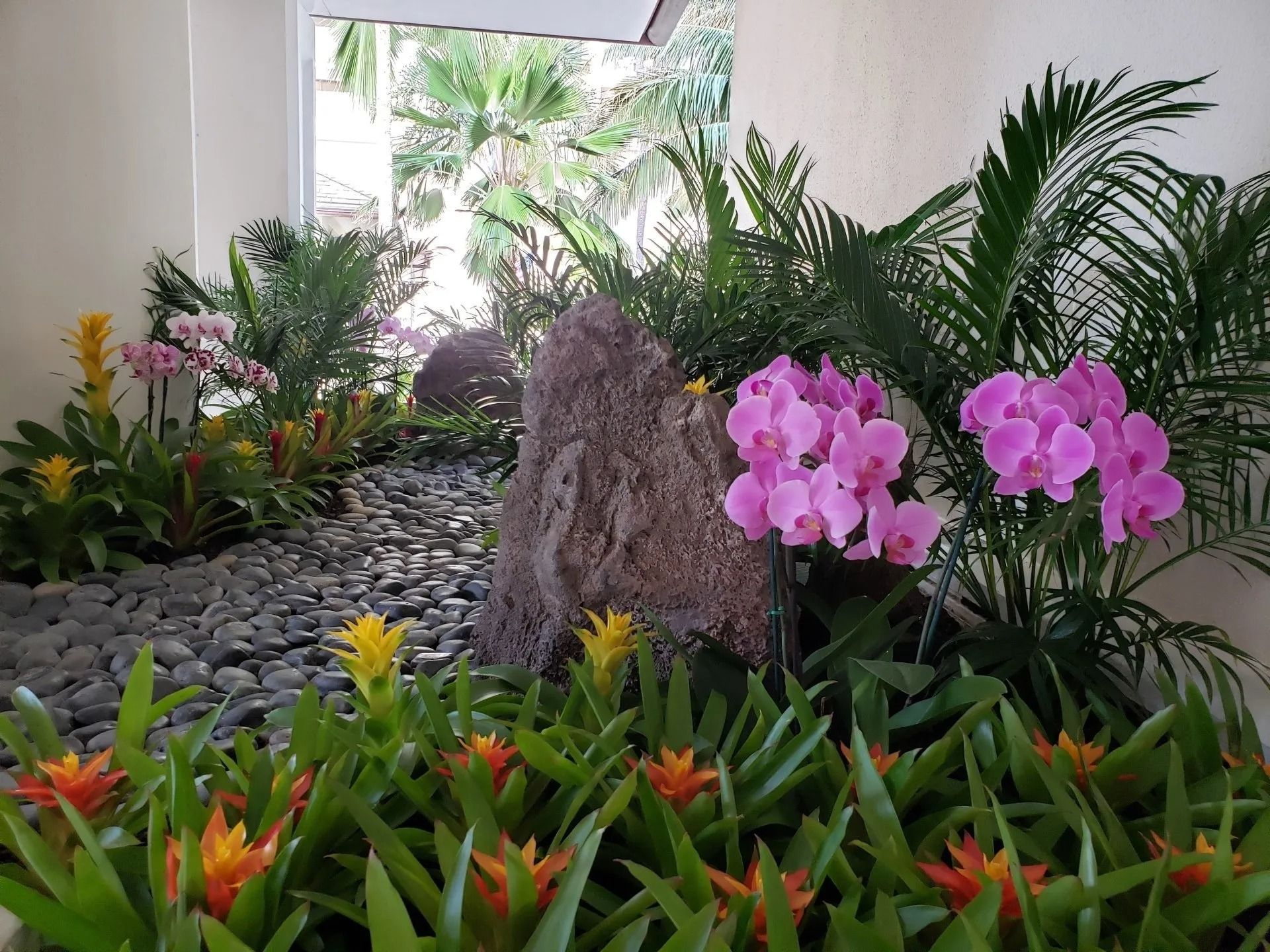 A lush indoor garden with colorful orchids and bromeliads, dark pebbles, and a large rock.