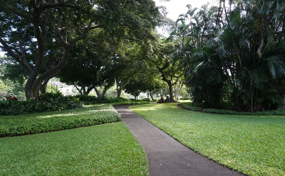 A stone pathway through a lush green park, shaded by trees.