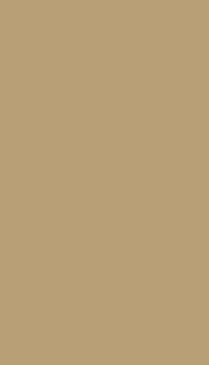Solid beige background.