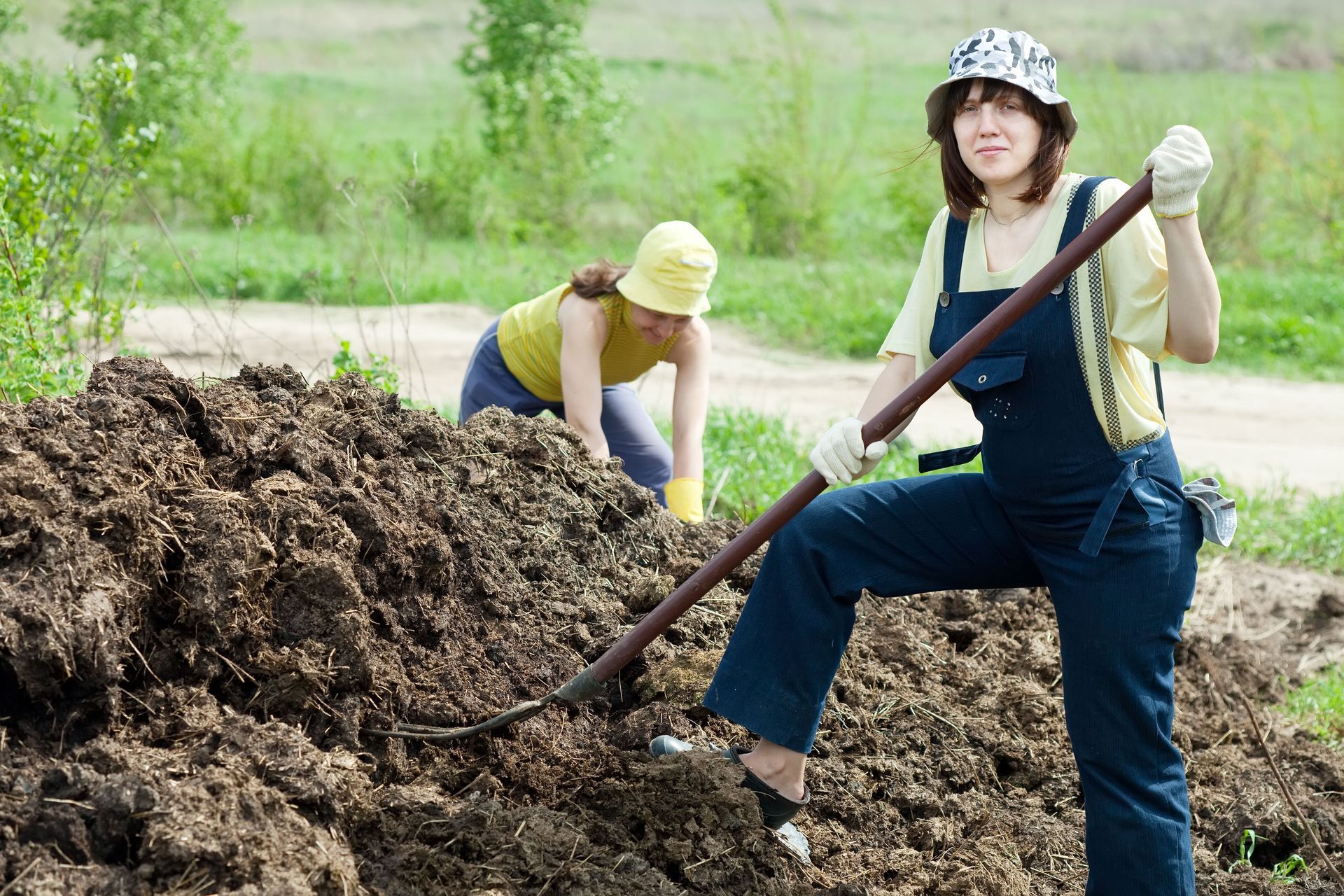 organic compost
