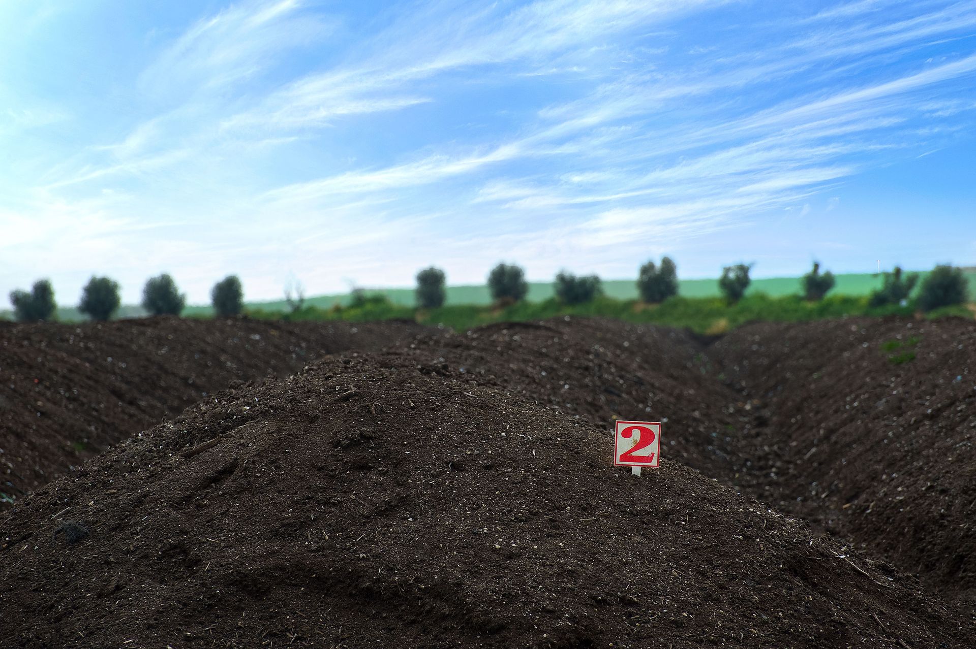 organic compost