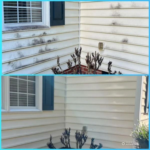 Before and after photo of a house corner with siding cleaned of dark mildew.