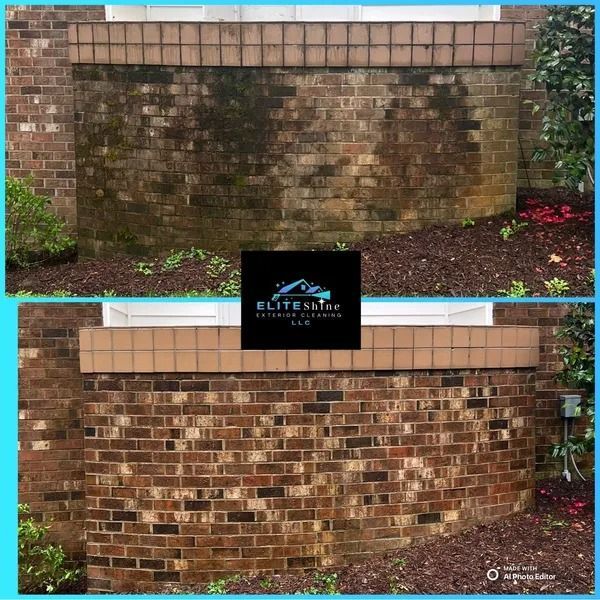 Before and after of a brick wall cleaned; dirty, green mold transformed to clean, brown brick.