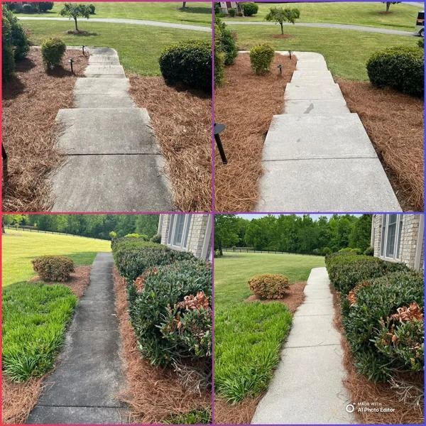 Four-panel comparison: Before/after of a concrete walkway being cleaned, surrounded by landscaping.