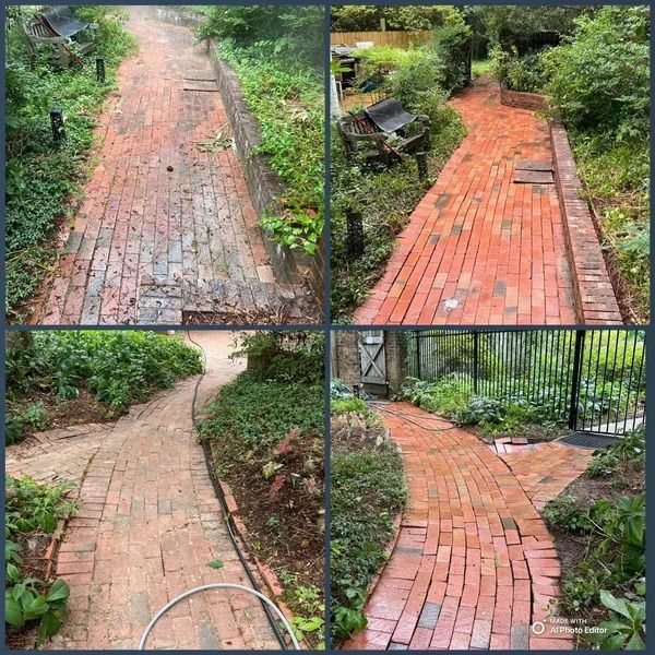 A brick pathway, top left dirty, gradually cleaned. Overgrown green foliage borders the pathway.