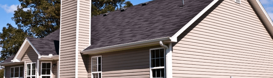 Roof gutter and downspout