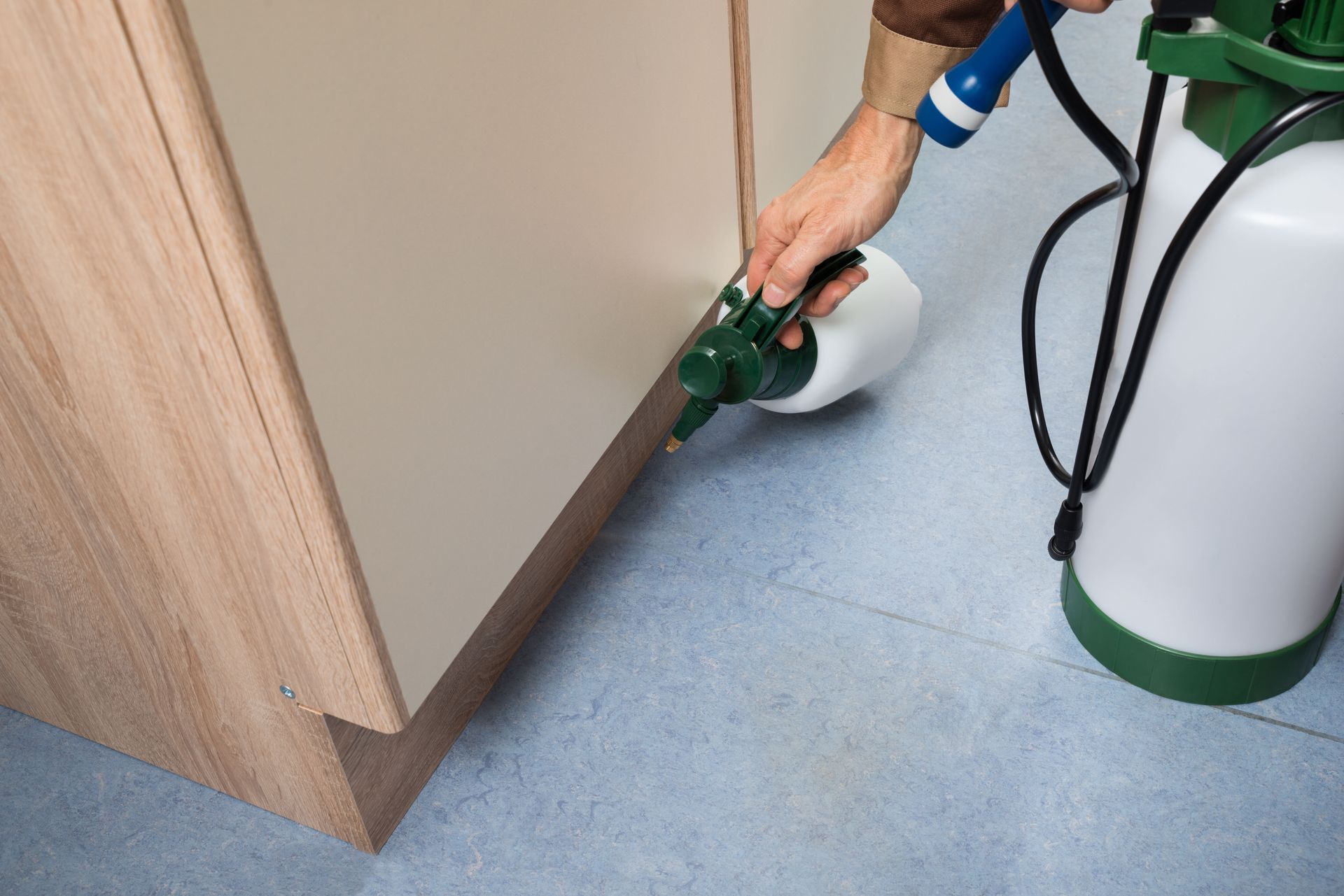 pest control services