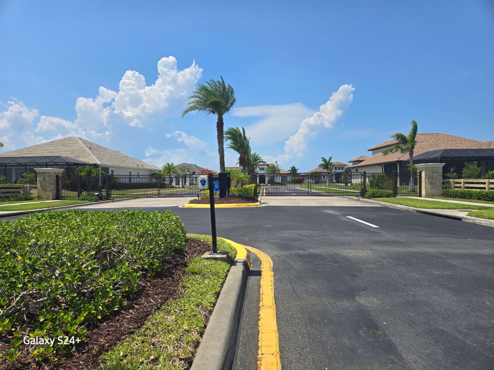 A gated community with a palm tree in the middle of the road