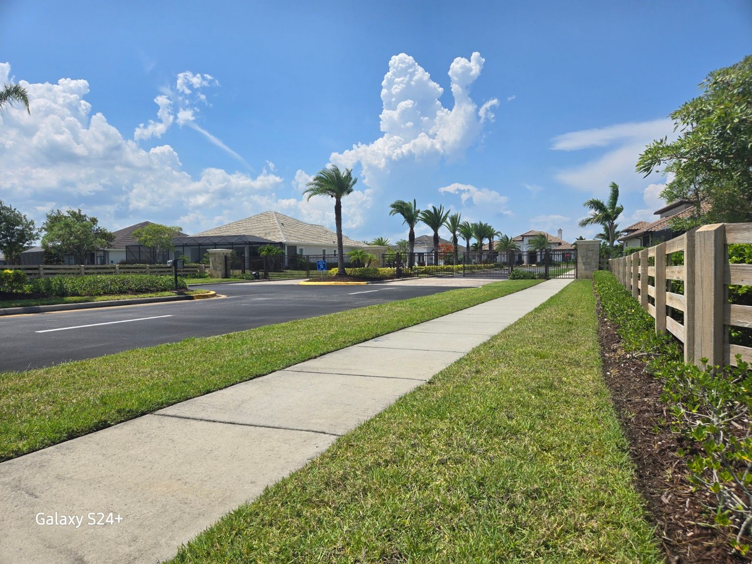 A sidewalk leading to a house with palm trees and a fence