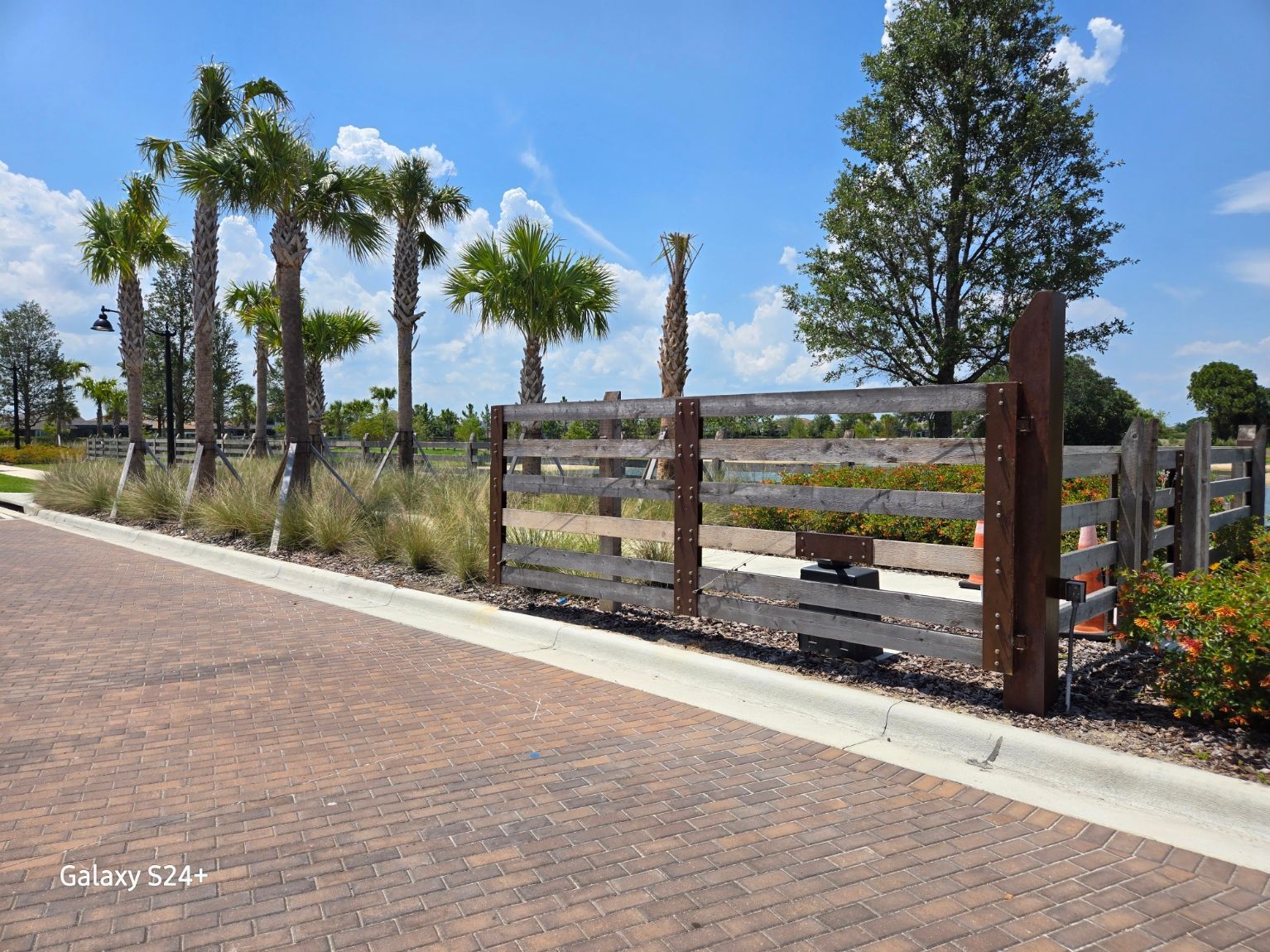 A wooden fence surrounds a brick driveway with palm trees in the background.