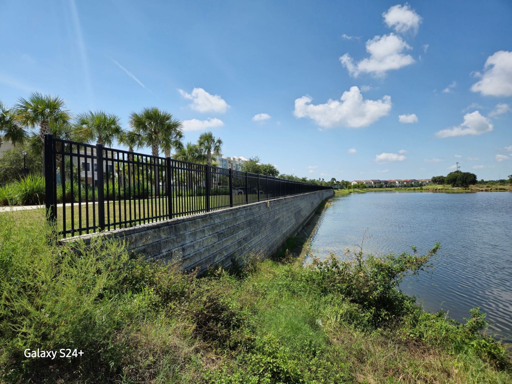 A fence surrounds a body of water with palm trees in the background.