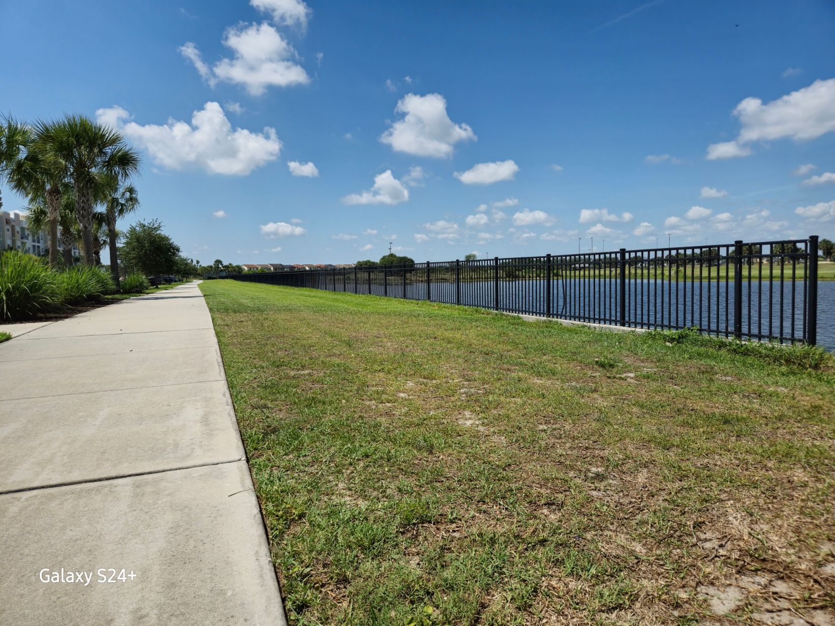 A fence surrounds a grassy area next to a body of water.