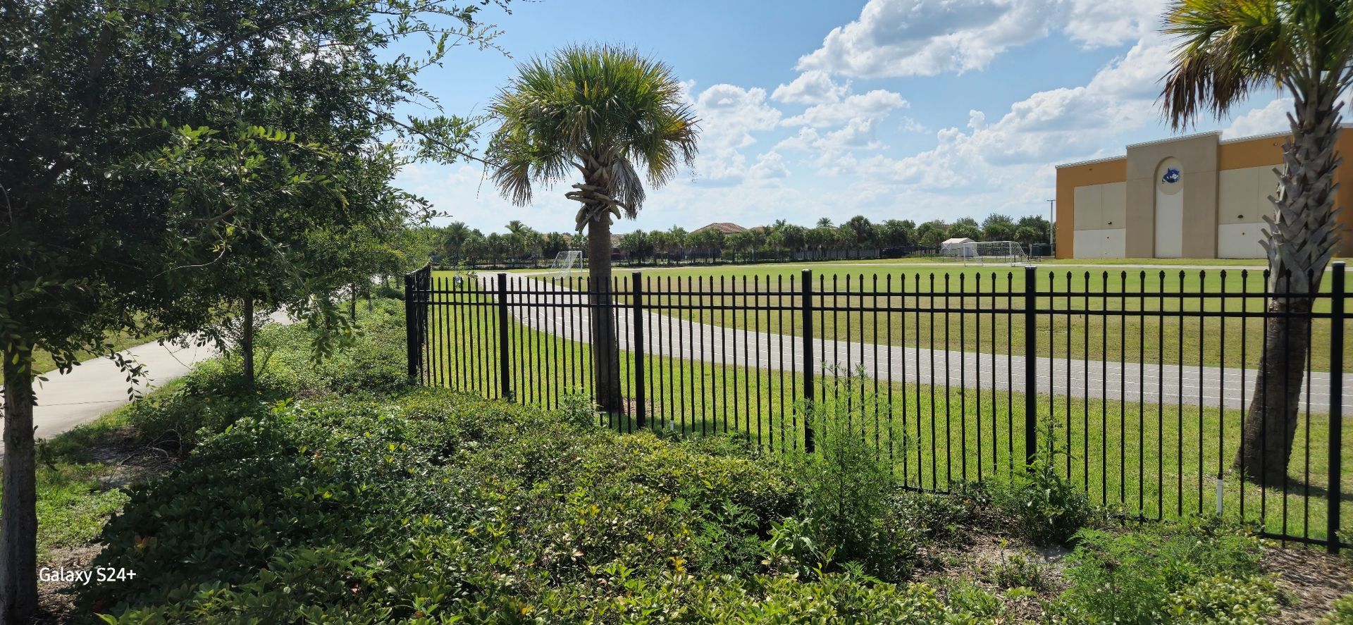 A black fence surrounds a grassy field with palm trees in the background.