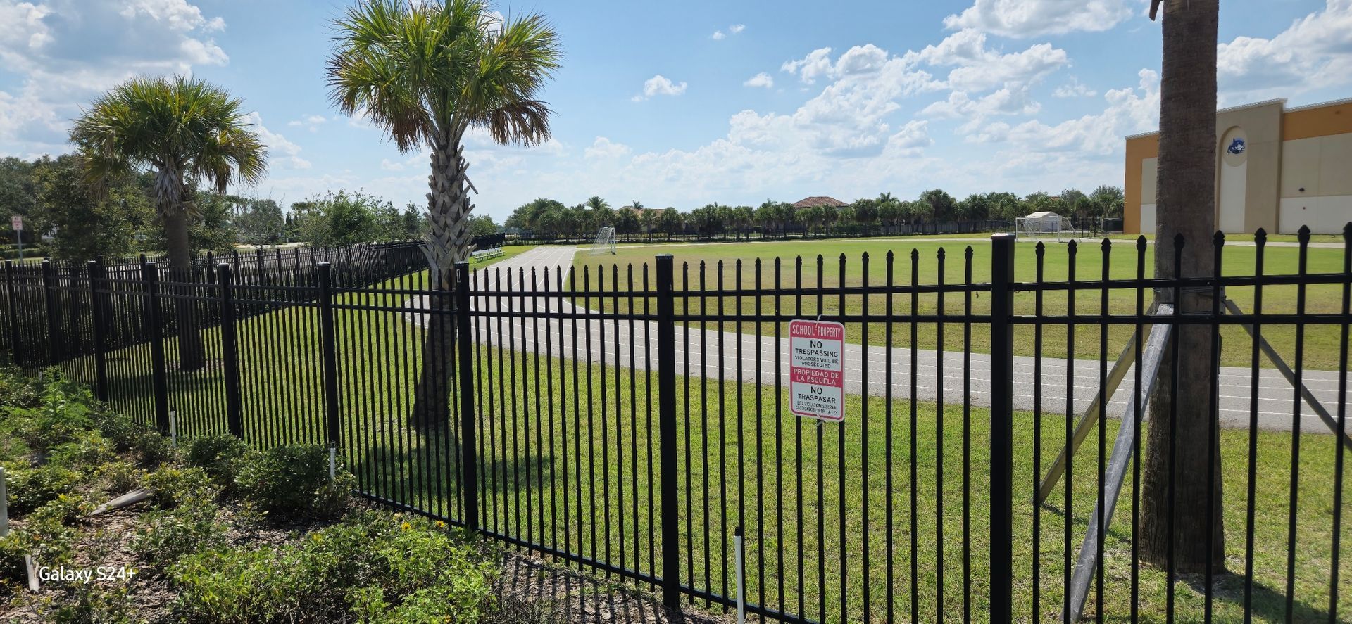 A black fence surrounds a grassy field with palm trees in the background.