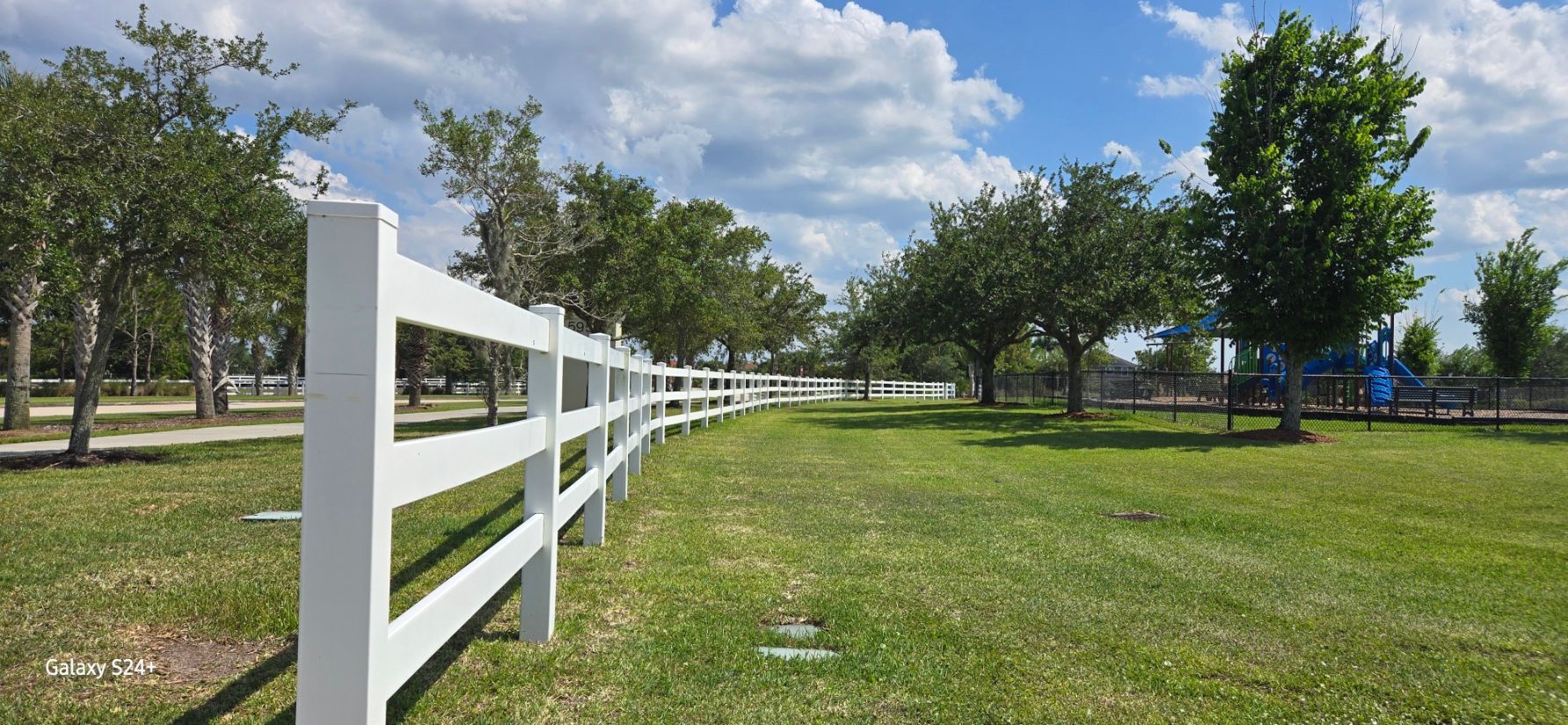 A white fence surrounds a grassy field with trees in the background.