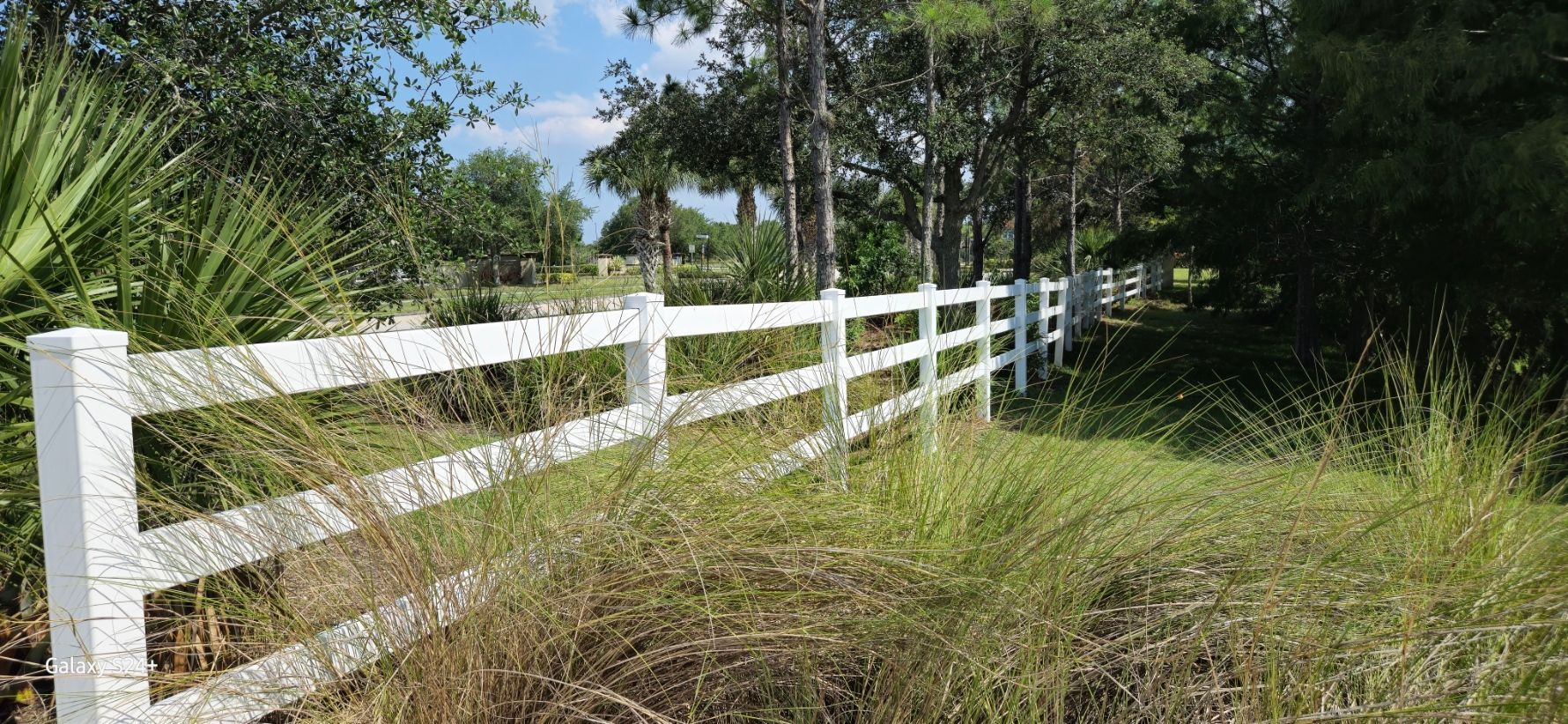 A white fence surrounds a grassy field with trees in the background.
