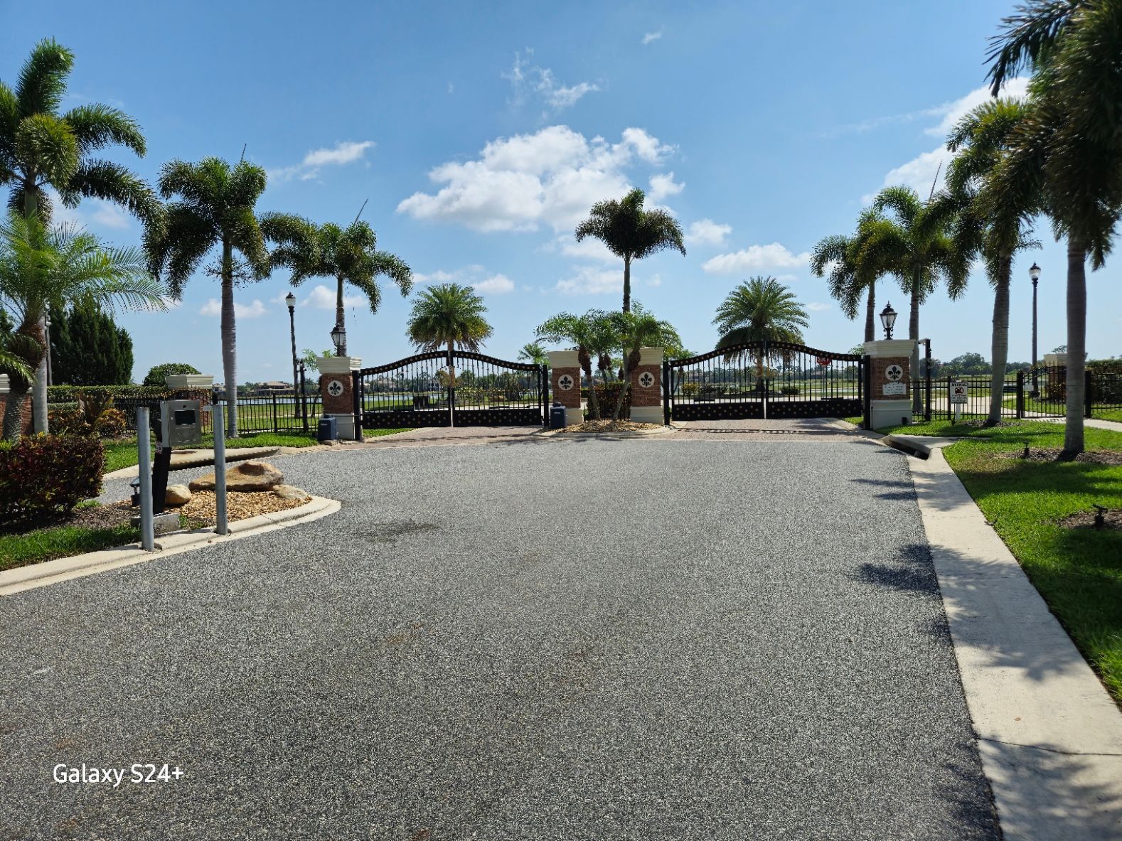 A gravel road with palm trees on both sides of it.