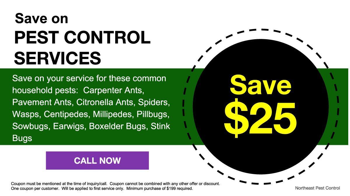 Save on Pest Control Services