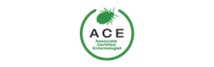 ACE