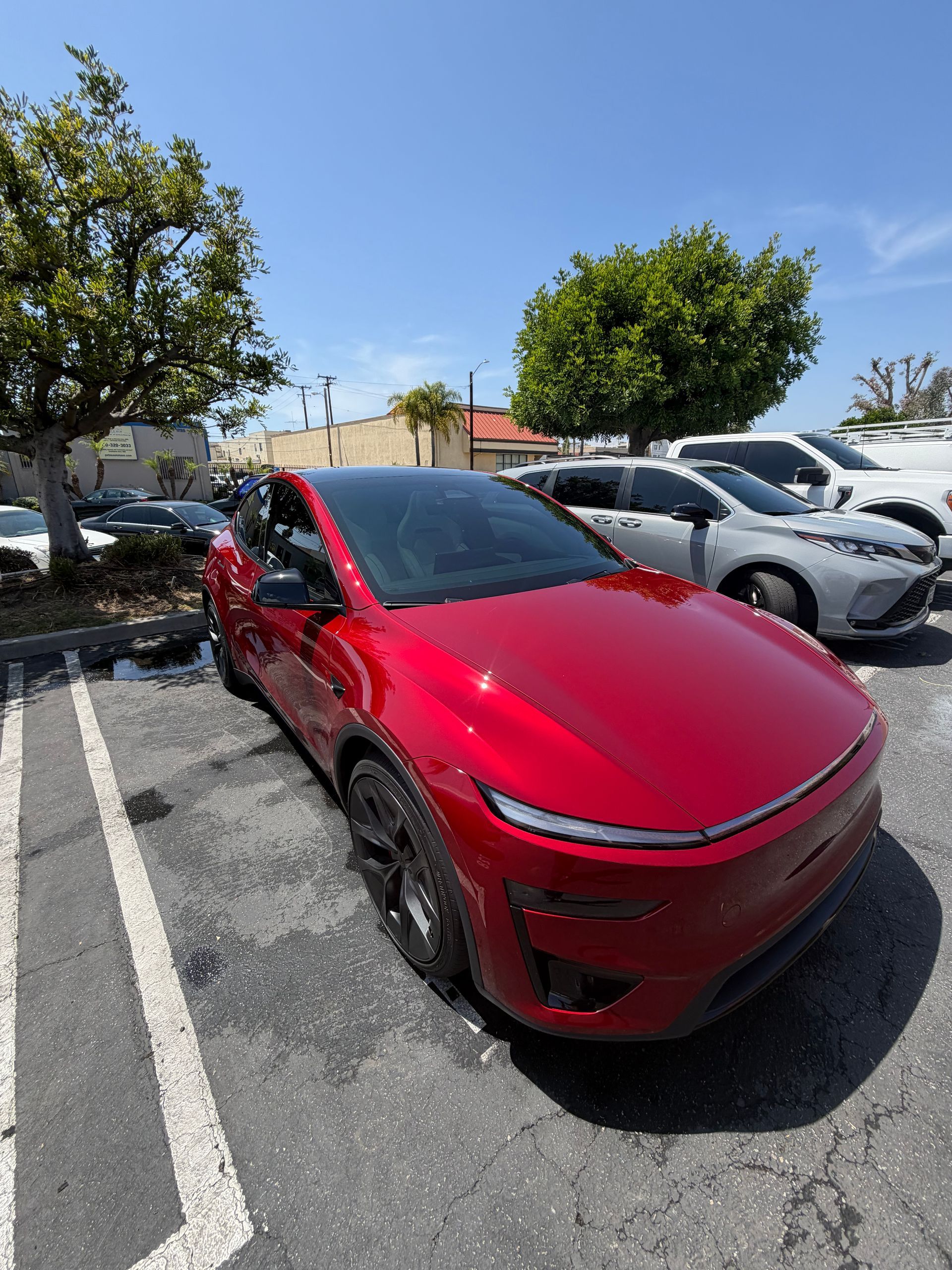 Red Tesla parked in a lot beside white cars and trees under a clear blue sky
