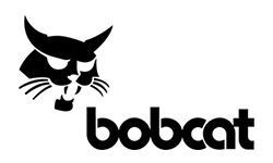 Bobcat