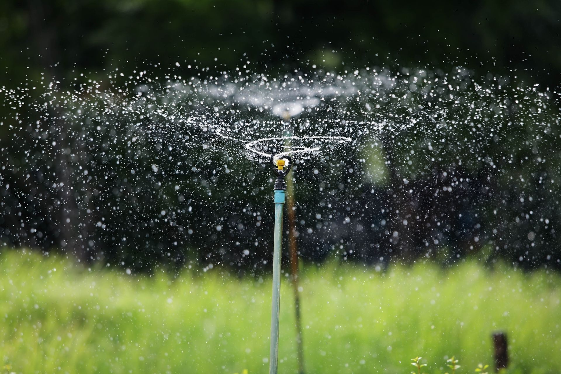 A water sprinkler sprays a fine mist over a bright green grassy field.