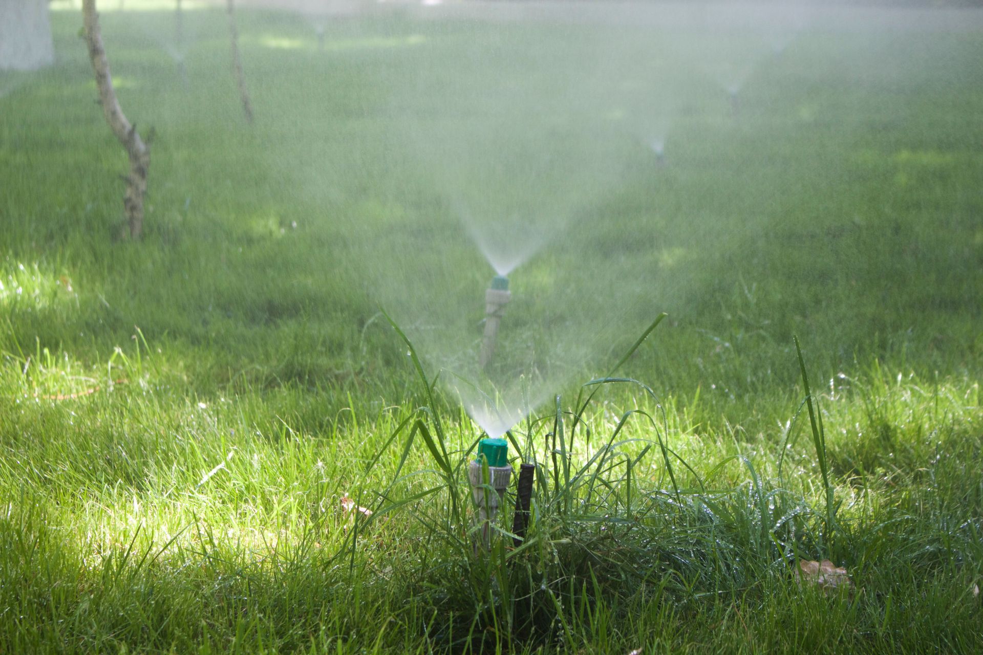 lawn sprinkler systems
