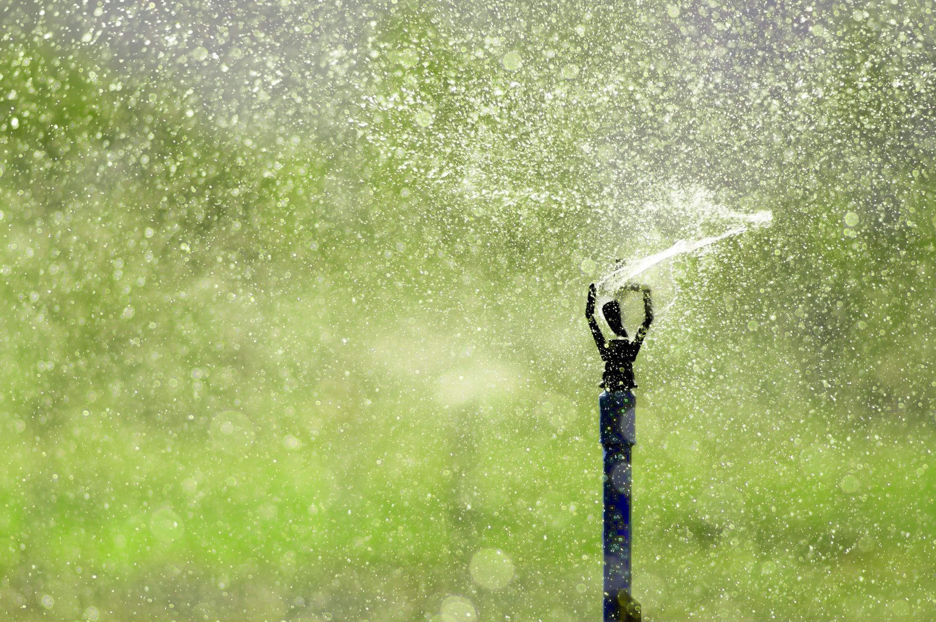 A tall metal irrigation sprinkler sprays water in a fine mist across a vibrant green, out-of-focus lawn.
