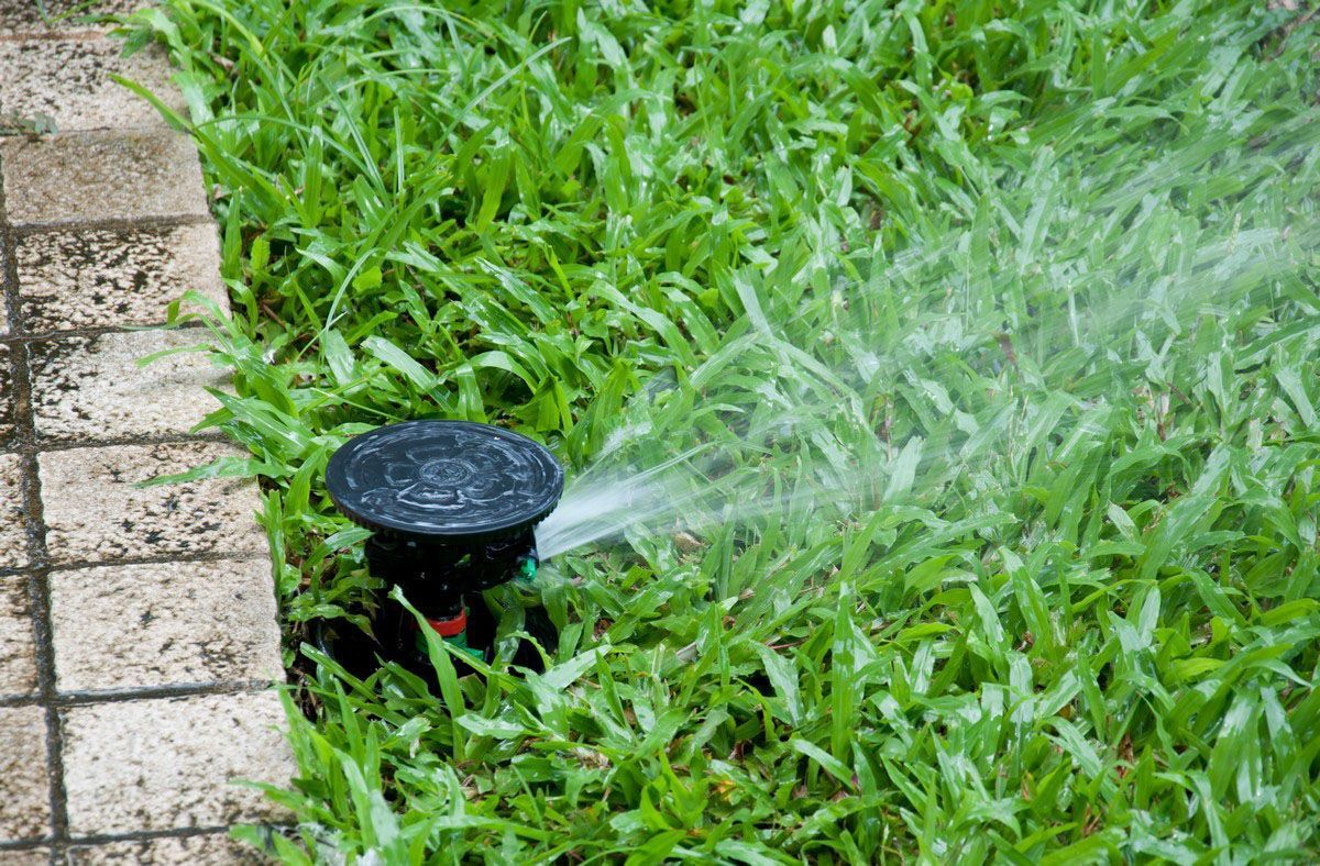 A black lawn sprinkler spraying water onto green grass next to a paved stone border.