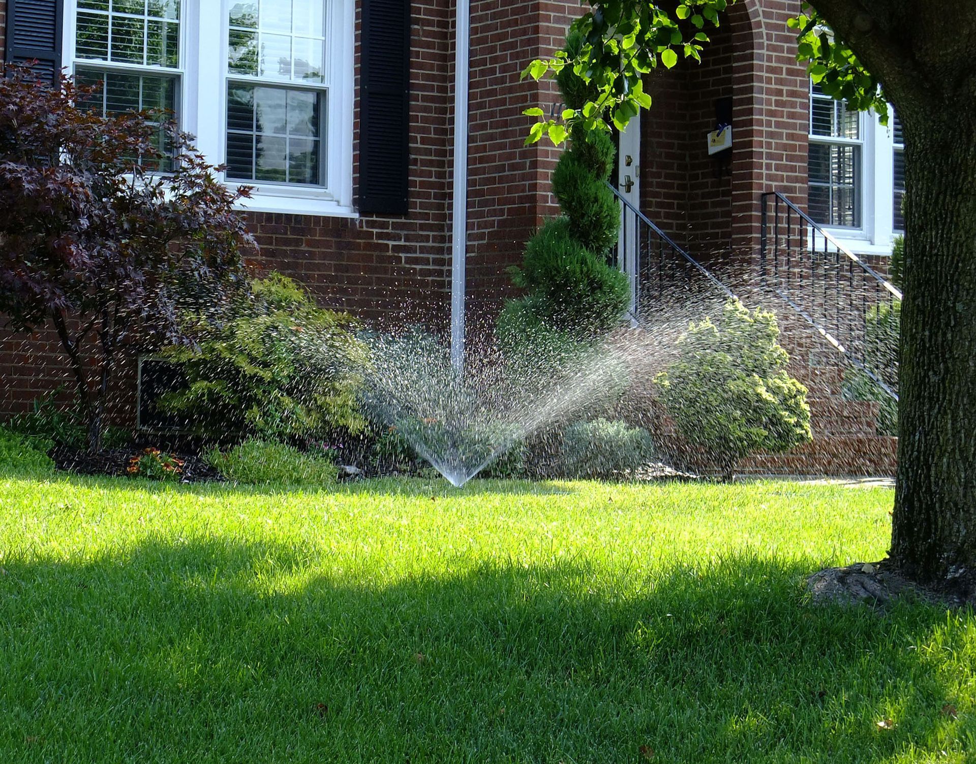 A yellow and black impact sprinkler head stands upright in a green grassy lawn.