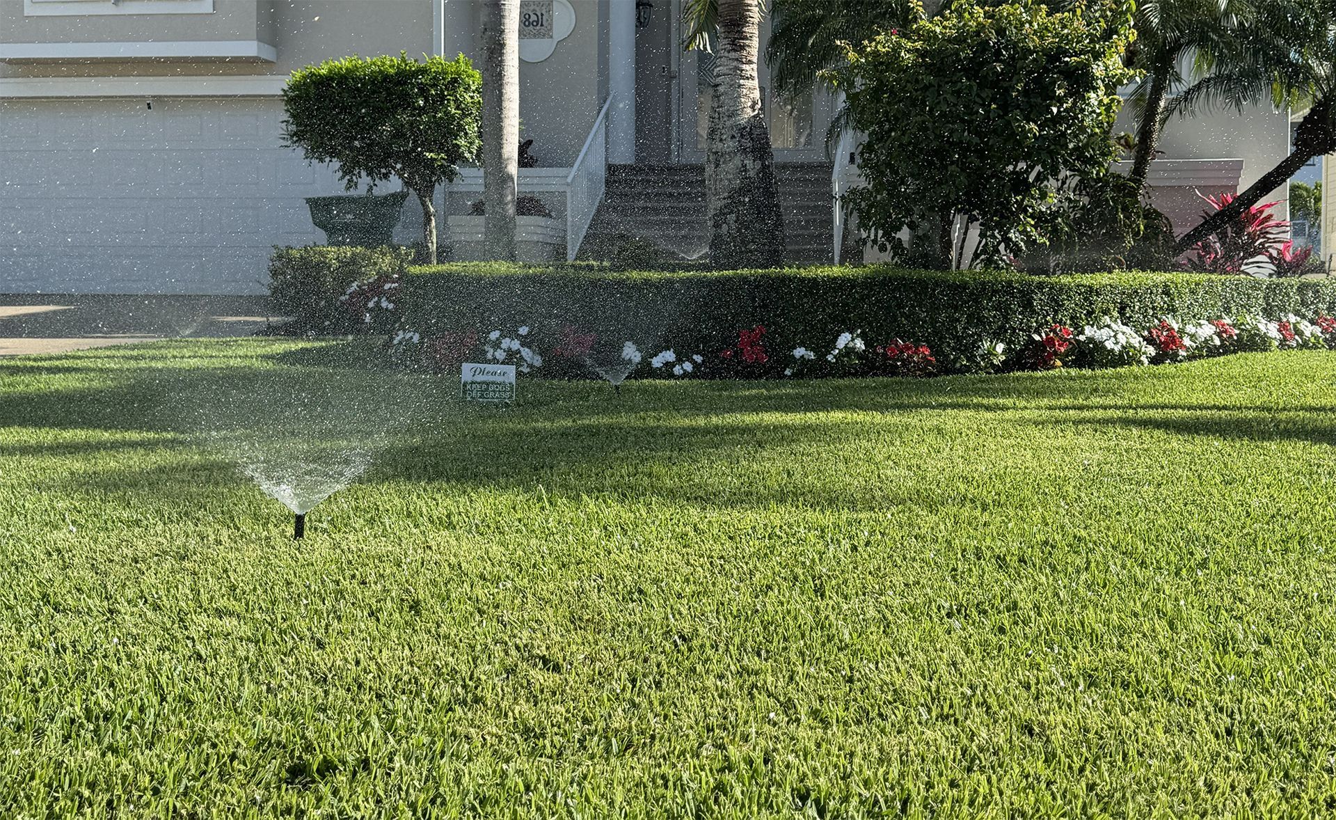 A sprinkler sprays water across a vibrant green lawn in front of a house with landscaped garden beds.