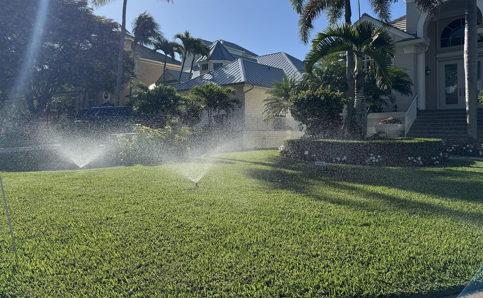 Sprinklers spray water over a lush green residential lawn on a sunny day with a house in the background.