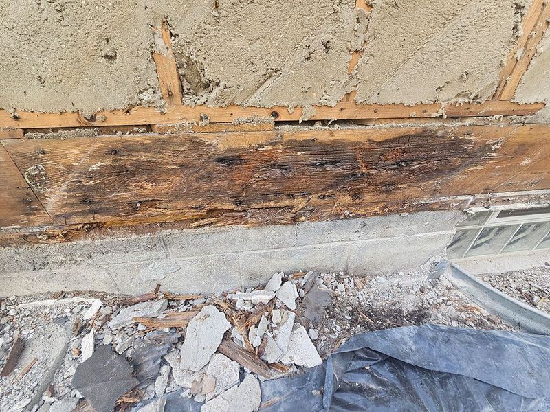 Severe wood rot on a horizontal board resting atop a concrete foundation wall with debris on the ground below.